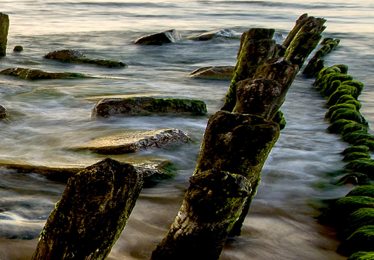 Large canvas print Wooden Breakwaters II [Large Format] 128897 additionalImage 4