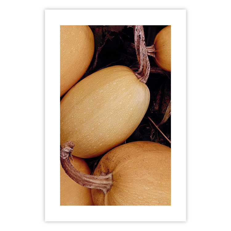 Wall Poster Autumnal - autumnal orange vegetables on a dark earth background 130797 additionalImage 19