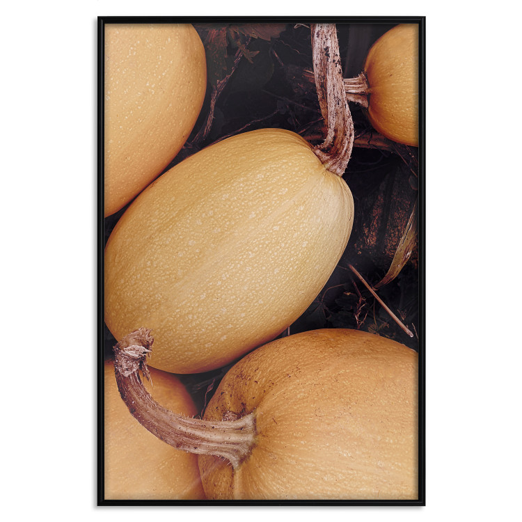 Wall Poster Autumnal - autumnal orange vegetables on a dark earth background 130797 additionalImage 16