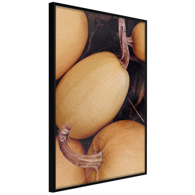 Wall Poster Autumnal - autumnal orange vegetables on a dark earth background 130797 additionalImage 11