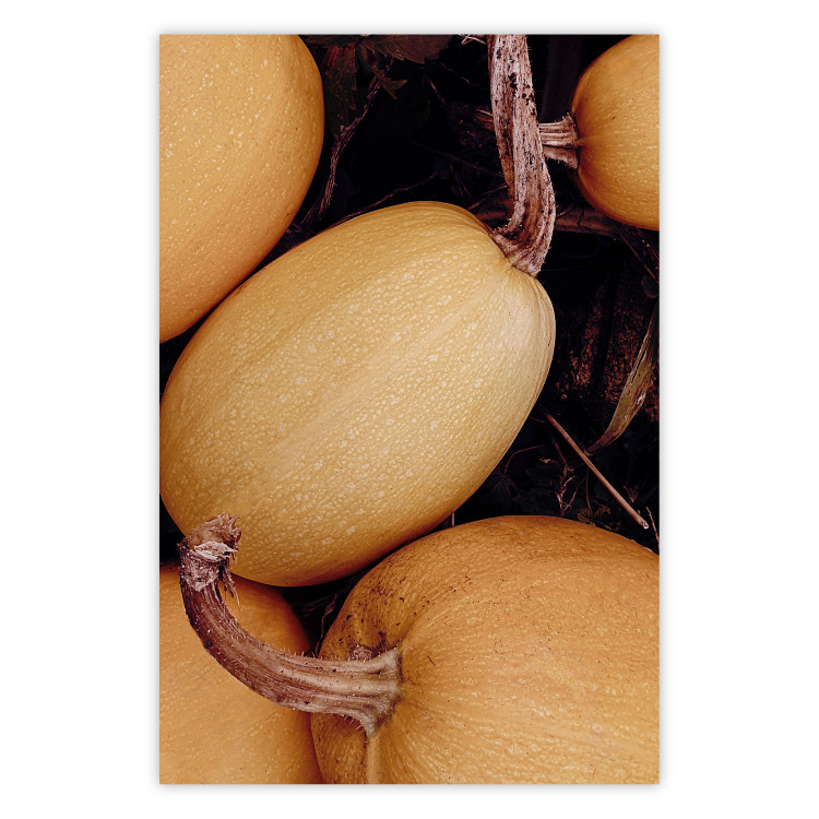 Wall Poster Autumnal - autumnal orange vegetables on a dark earth background 130797