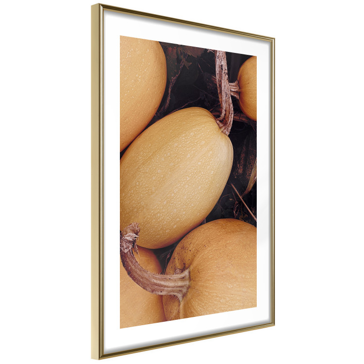 Wall Poster Autumnal - autumnal orange vegetables on a dark earth background 130797 additionalImage 7