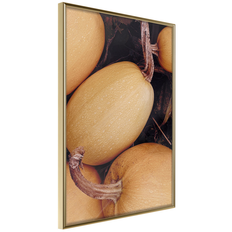 Wall Poster Autumnal - autumnal orange vegetables on a dark earth background 130797 additionalImage 12