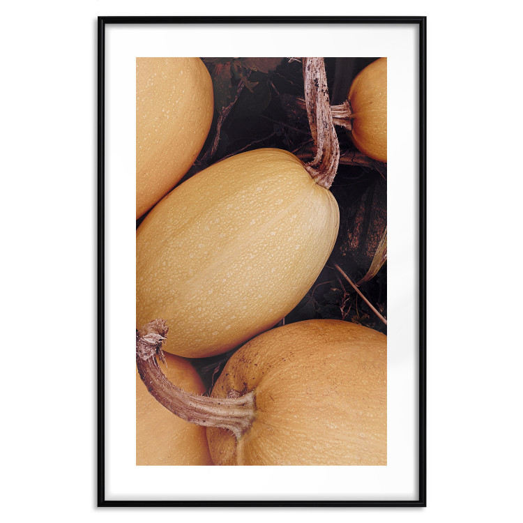 Wall Poster Autumnal - autumnal orange vegetables on a dark earth background 130797 additionalImage 15