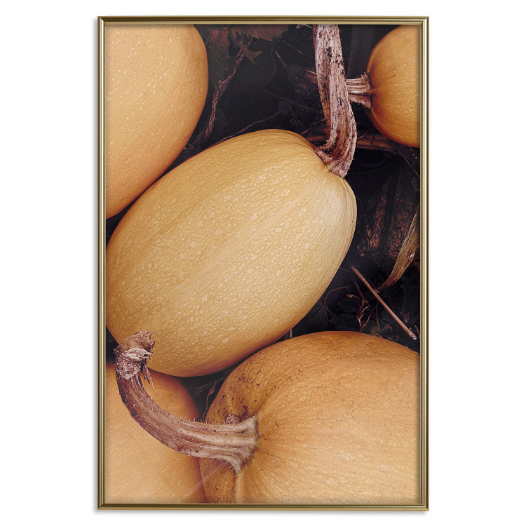 Wall Poster Autumnal - autumnal orange vegetables on a dark earth background 130797 additionalImage 17