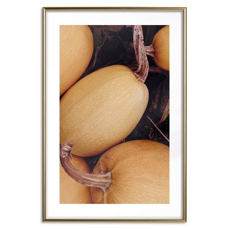 Wall Poster Autumnal - autumnal orange vegetables on a dark earth background 130797 additionalImage 14