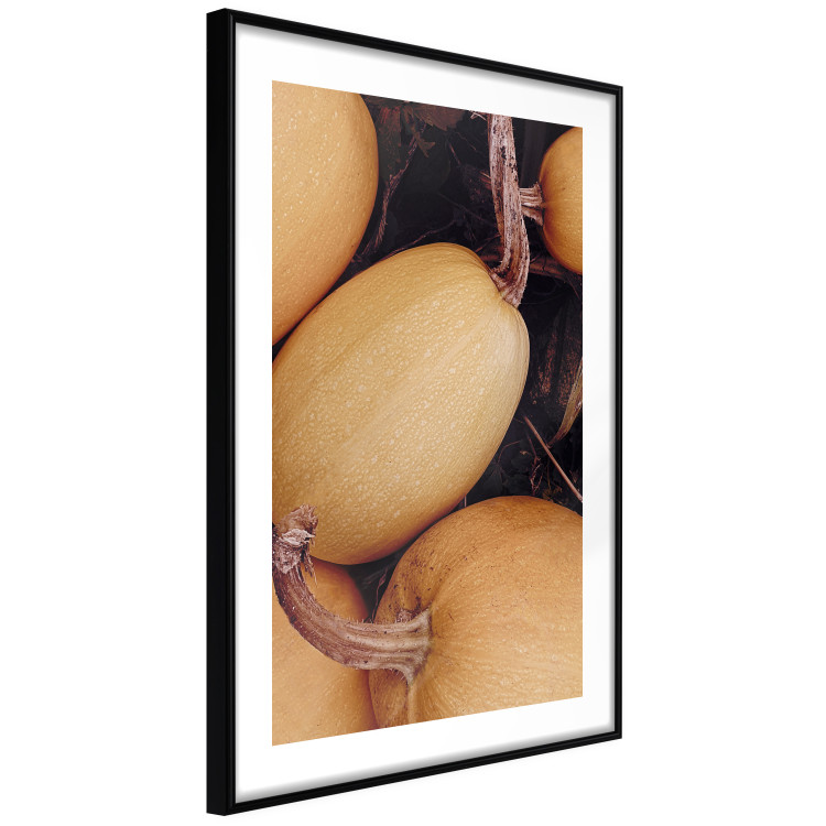 Wall Poster Autumnal - autumnal orange vegetables on a dark earth background 130797 additionalImage 6