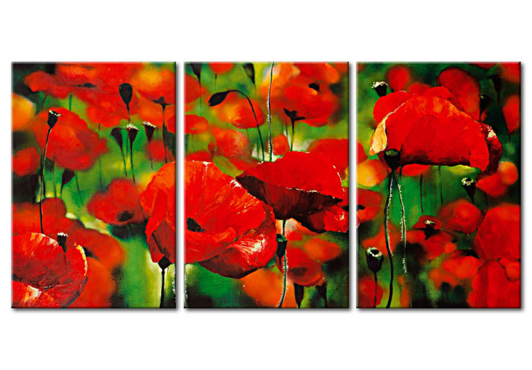 Canvas Red poppies 46897
