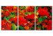 Canvas Red poppies 46897