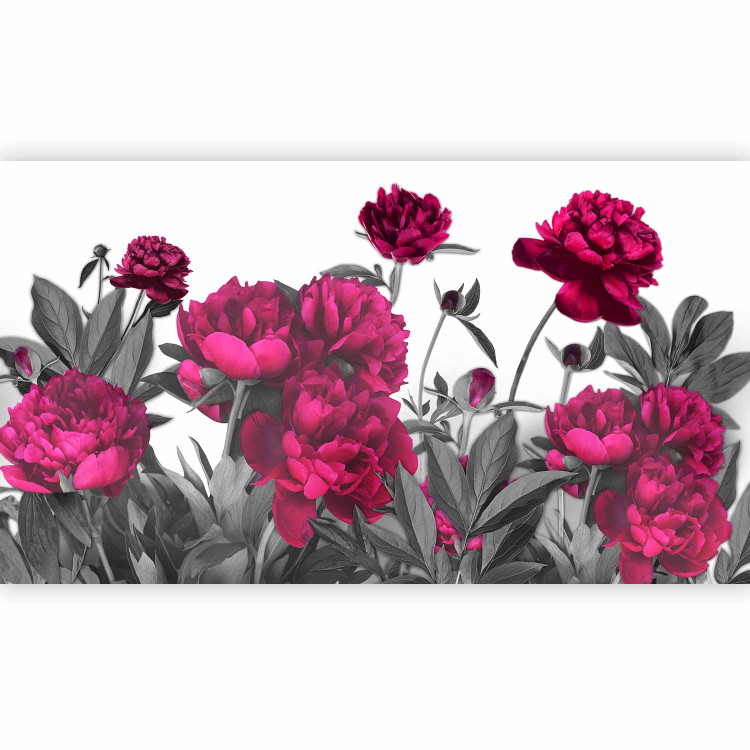 Wall Mural Lush Meadow - Blooming Flowers in Vibrant Colours on a Solid Background 60497 additionalImage 1