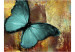 Wall Mural Painted butterfly 61297 additionalThumb 1