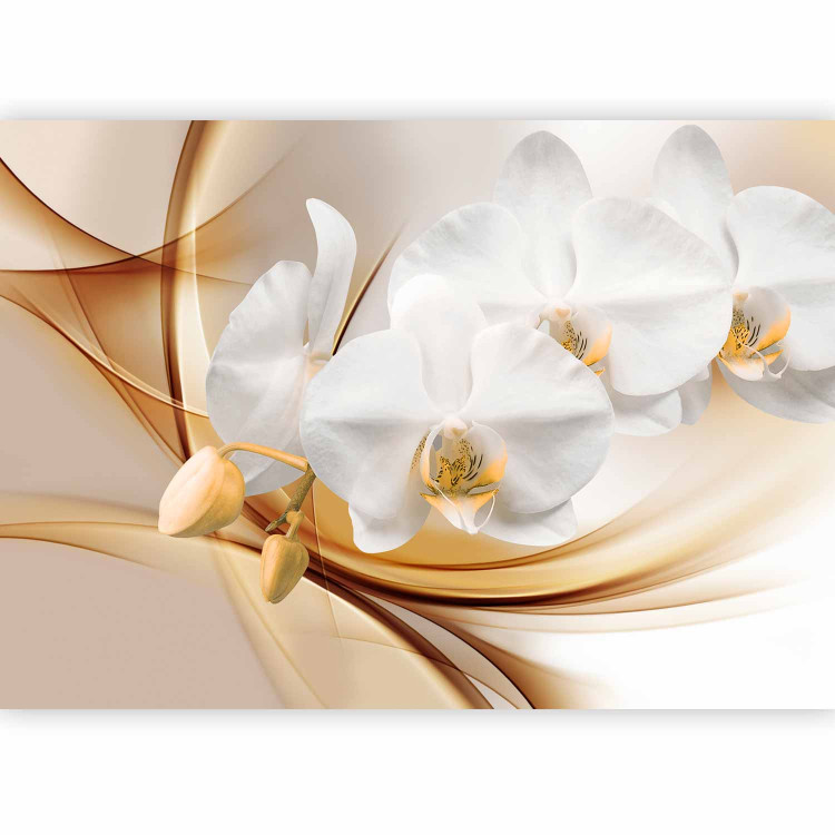 Wall Mural Floral Abstraction - White orchid with buds on an intricate beige background 61797 additionalImage 1