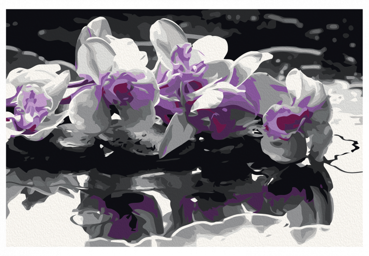 Paint by number Purple Orchid (Black Background & Reflection In The Water) 107508 additionalImage 7