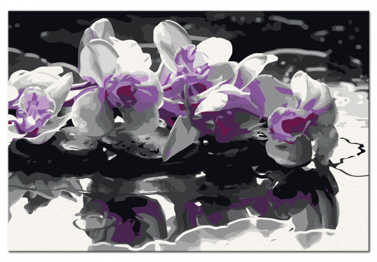 Paint by number Purple Orchid (Black Background & Reflection In The Water) 107508 additionalImage 6