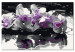 Paint by number Purple Orchid (Black Background & Reflection In The Water) 107508 additionalThumb 6