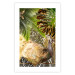 Poster Golden Peacock - composition with an elegant bird among tropical leaves 116408 additionalThumb 19