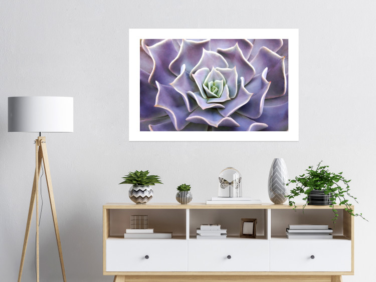 Wall Poster Purple Succulent - plant composition in lavender-colored leaves 117208 additionalImage 2