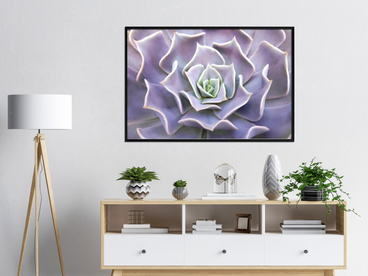Wall Poster Purple Succulent - plant composition in lavender-colored leaves 117208 additionalImage 4
