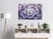 Wall Poster Purple Succulent - plant composition in lavender-colored leaves 117208 additionalThumb 20