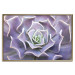 Wall Poster Purple Succulent - plant composition in lavender-colored leaves 117208 additionalThumb 15