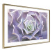 Wall Poster Purple Succulent - plant composition in lavender-colored leaves 117208 additionalThumb 5