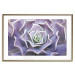 Wall Poster Purple Succulent - plant composition in lavender-colored leaves 117208 additionalThumb 13