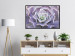 Wall Poster Purple Succulent - plant composition in lavender-colored leaves 117208 additionalThumb 4