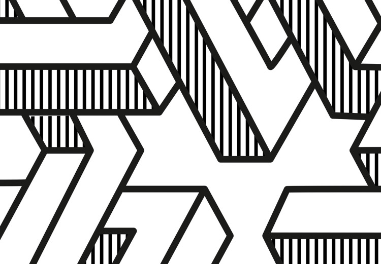 Canvas Art Print Geometric maze - black and white abstraction with 3D effect 117508 additionalImage 4