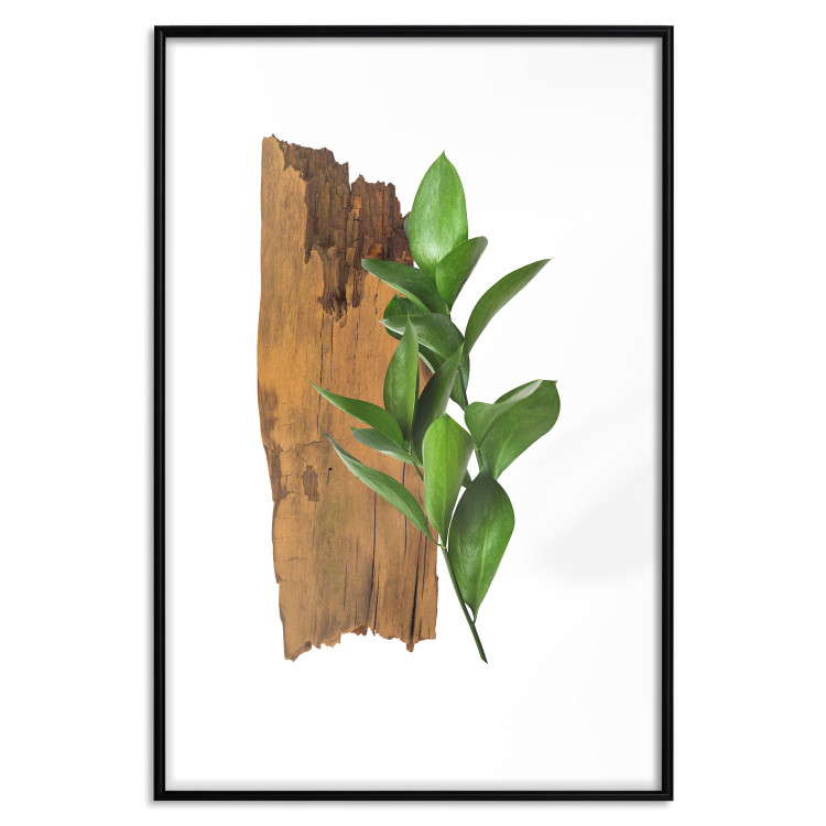 Poster Fascinating Nature - plant and wooden piece of plank on a white background 122608 additionalImage 17