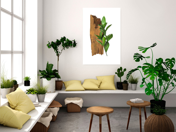 Poster Fascinating Nature - plant and wooden piece of plank on a white background 122608 additionalImage 5