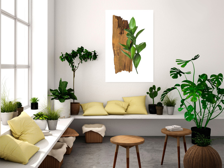Poster Fascinating Nature - plant and wooden piece of plank on a white background 122608 additionalImage 23