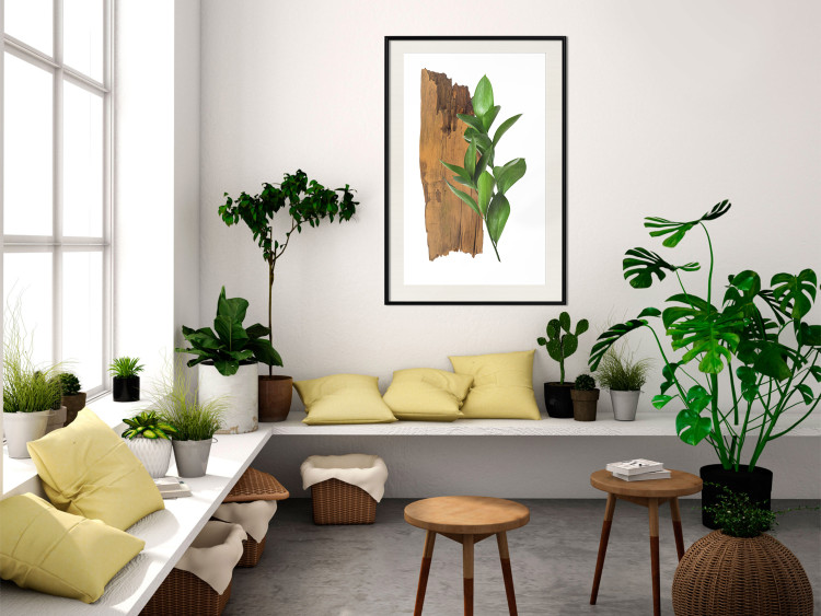 Poster Fascinating Nature - plant and wooden piece of plank on a white background 122608 additionalImage 22