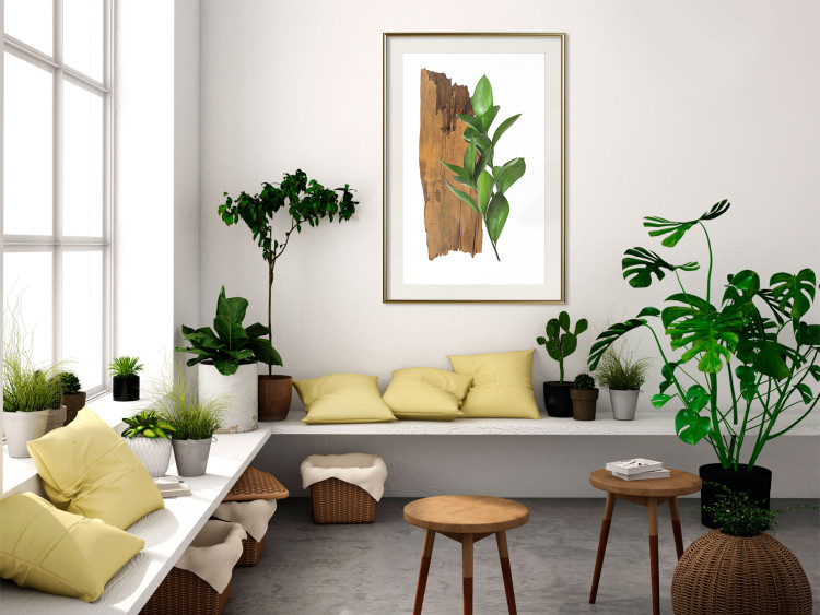 Poster Fascinating Nature - plant and wooden piece of plank on a white background 122608 additionalImage 21
