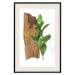 Poster Fascinating Nature - plant and wooden piece of plank on a white background 122608 additionalThumb 18