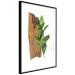 Poster Fascinating Nature - plant and wooden piece of plank on a white background 122608 additionalThumb 6