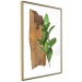 Poster Fascinating Nature - plant and wooden piece of plank on a white background 122608 additionalThumb 12