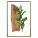 Poster Fascinating Nature - plant and wooden piece of plank on a white background 122608 additionalThumb 20