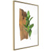 Poster Fascinating Nature - plant and wooden piece of plank on a white background 122608 additionalThumb 7