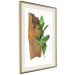 Poster Fascinating Nature - plant and wooden piece of plank on a white background 122608 additionalThumb 3