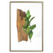 Poster Fascinating Nature - plant and wooden piece of plank on a white background 122608 additionalThumb 16