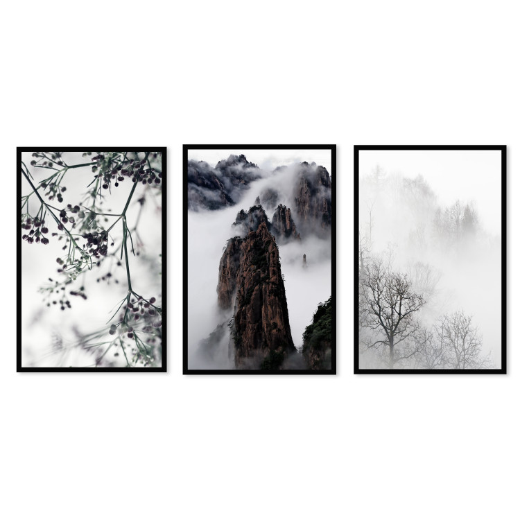 Posters set Mysterious Nature 124908 additionalImage 1