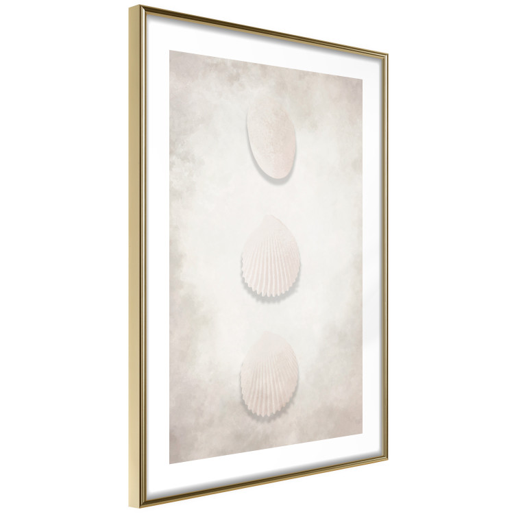 Wall Poster Ocean Wealth - landscape of white seashells on light sand background 127908 additionalImage 9