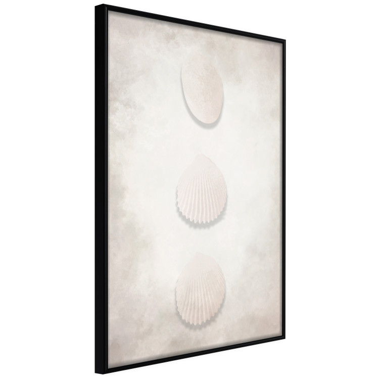 Wall Poster Ocean Wealth - landscape of white seashells on light sand background 127908 additionalImage 13
