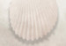 Wall Poster Ocean Wealth - landscape of white seashells on light sand background 127908 additionalThumb 11