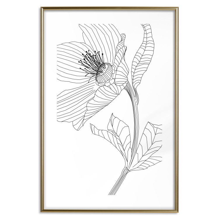 Wall Poster Spring Sketch - abstract black line art of plant on white background 128408 additionalImage 16