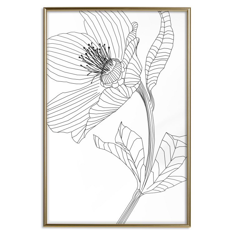 Wall Poster Spring Sketch - abstract black line art of plant on white background 128408 additionalImage 21