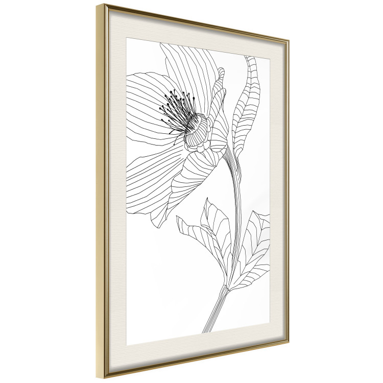 Wall Poster Spring Sketch - abstract black line art of plant on white background 128408 additionalImage 6