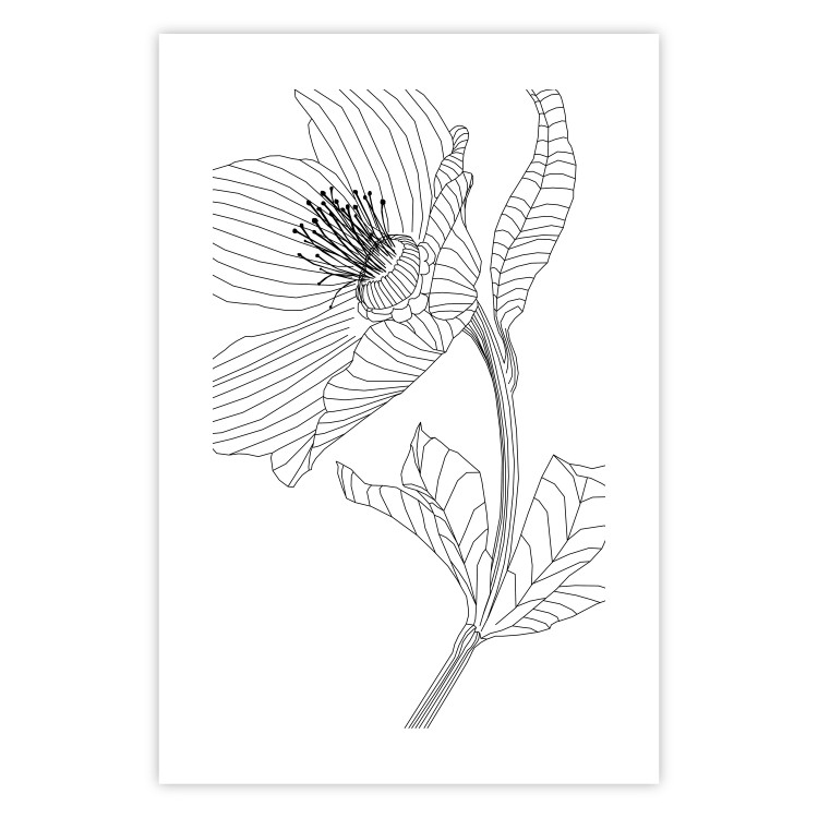 Wall Poster Spring Sketch - abstract black line art of plant on white background 128408 additionalImage 25