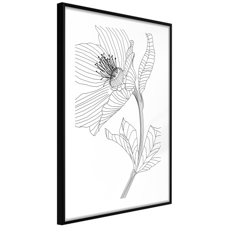 Wall Poster Spring Sketch - abstract black line art of plant on white background 128408 additionalImage 12