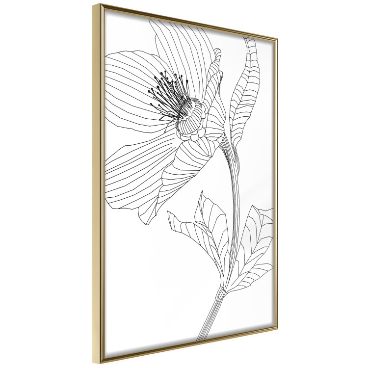 Wall Poster Spring Sketch - abstract black line art of plant on white background 128408 additionalImage 10